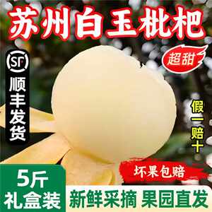 
Spot Authentic Suzhou Dongshan White Jade Loquat Fresh Fruit Pregnant Women 5*0.5kg Extra Large Fruit Gift Box SF Free Shipping