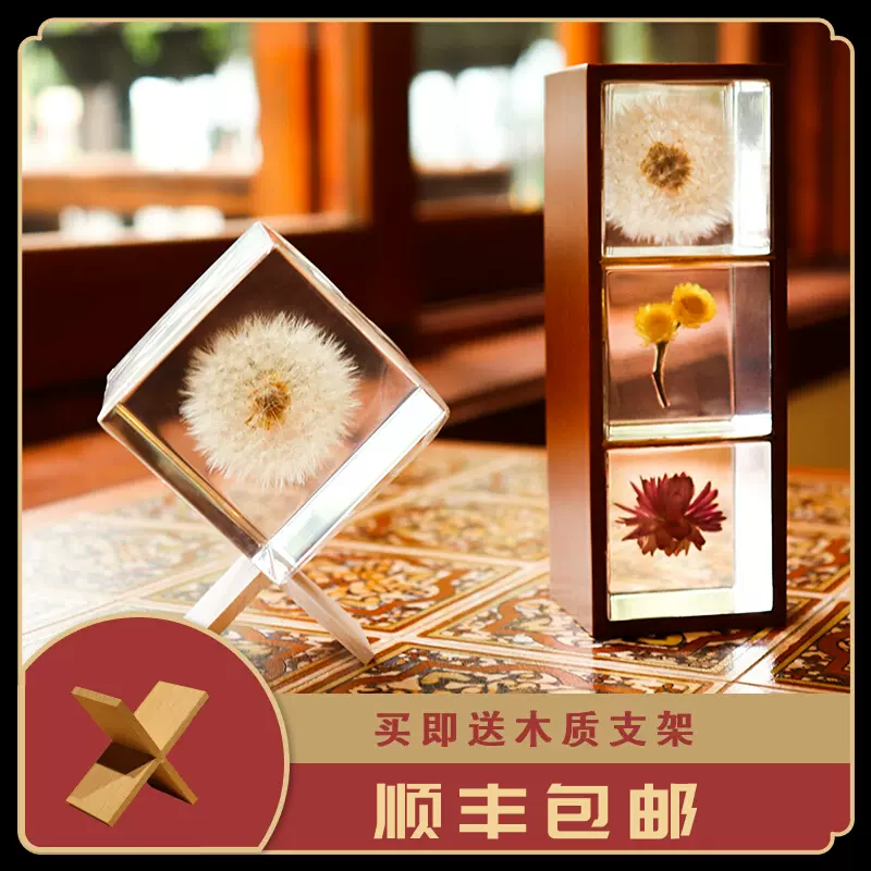 日本进口宙Solacube立方体植物标本创意蒲公英摆件饰品情人节礼物 - Taobao