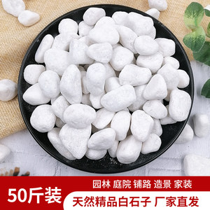50*0.5kg white stone stone big cobblestone courtyard paving floor small white stone garden dry landscape white stone