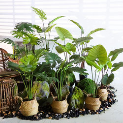 Simulated Monstera Green Plant Landscaping Combination Decoration Fake Spring Leaf Tropical Plant Landscape Indoor Staircase Artificial Tree Decoration