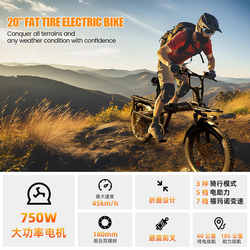 Baicycle Xiaobai Foldable Electric Bicycle Mountain Electric Bike Adult Commuting Off-Road Variable Speed Assist Bike