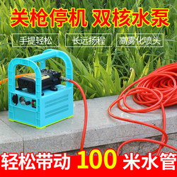 Agricultural Rechargeable Portable Electric Sprayer, Fruit Tree Sprayer, Multi-Functional Water Pump, Vegetable Watering and Car Washing Tool