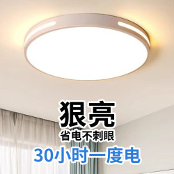 Full Spectrum Led Ceiling Light for Bedroom 2026 New Model Master Bedroom Simple Modern Eye Protection Children's Room Zhongshan Lighting Fixtures