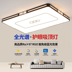 Living Room Led Ceiling Light 2025 New Model Zhongshan Lighting Main Light for Hall Bedroom Modern Simple and Elegant Lighting Fixtures