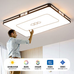 High-End Living Room Chandelier, Ceiling Light for Main Bedroom, Modern and Simple Design, 2026 New Model, Zhongshan