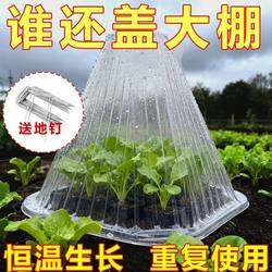 Vegetable Plant Cover for Insect and Bird Protection, Suitable for Seedlings, Vegetable Seedlings, Young Plants, Nursery Plants, Greenhouse Seedlings, Insulation, Frost Protection Cover