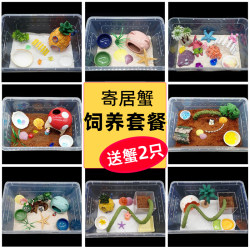 Hermit crab newbies meal feeding box feeding supplies, close-up crab set desktop pet children's gift