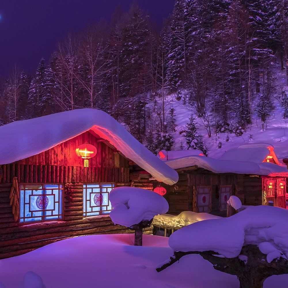 纯玩0购物 6人团 哈尔滨雪乡亚布力滑雪冰雪大世界5日游 2人起订