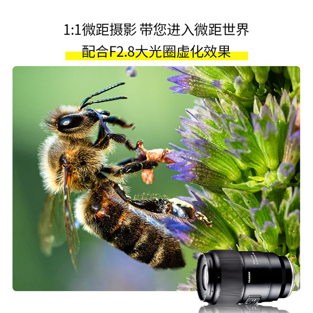 Tamron 90 macro lens sony e mount tamron 90mmf2 8macrovxd90 nikon z