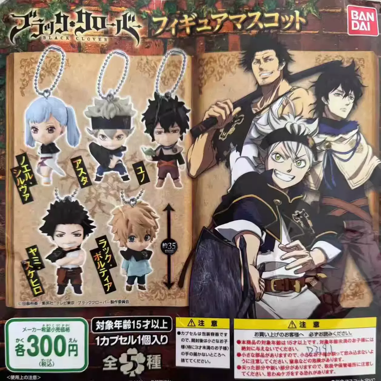 仙境传说RO 守护永恒的爱天天打波利刺客交通卡贴武僧游侠主教