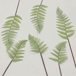 Mimosa simulated flower single branch flocking needle feather leaves