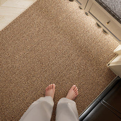 Entrance Door Mat 2025 New Model High-End Customizable Household Door Mat Stain-Resistant No-Wash Anti-Slip Entry Carpet