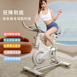 Dynamic Bicycle for Home Indoor Weight Loss Gym, Special Sports Equipment, Small Silent Smart Pedal Bicycle