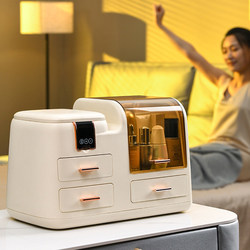 Cosmetic Storage Box for Home Desktop, High-End with Mirror, Led Light, Skin Care Product Lipstick Display Cabinet, Storage Rack