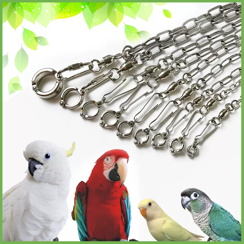 1件包郵 鸚鵡腳環不鏽鋼鳥鏈子 活動開口鏈/灰鸚鵡腳鍊/站架配件-Taobao