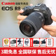 Canon R8 full-frame entry-level mirrorless camera r8 high-definition travel digital photography