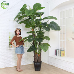 Artificial Tree Indoor Decoration Large Plant Bonsai Living Room Ornament Fake Green Plant Floor-Standing Potted Plant