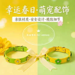 Petarrival Pet Collar Small, Medium and Large Dog Collar Universal for Cats and Dogs Cute Buckle Leather Petal Collar
