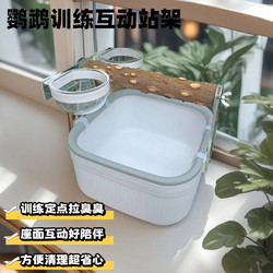 Parrot Fixed-Position Stand, Defecation Training Stand, Interactive Platform, Budgie, Lovebird, Cockatiel, Small Parrot Poop-Picking Tool