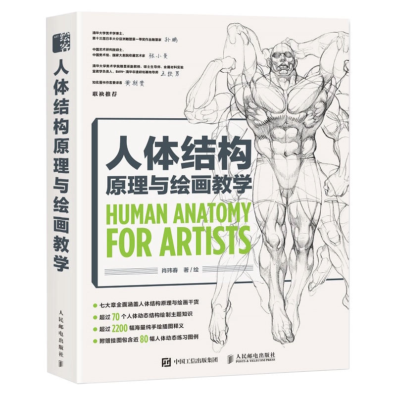 人体结构原理与绘画教学画画入门自学零基础漫画教程书动漫绘画
