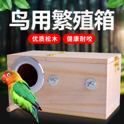 Parrot breeding tiger bark peony black phoenix external bird nest