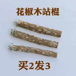 Zanthoxylum bungee, thrush, parrot, bird stand, barbed