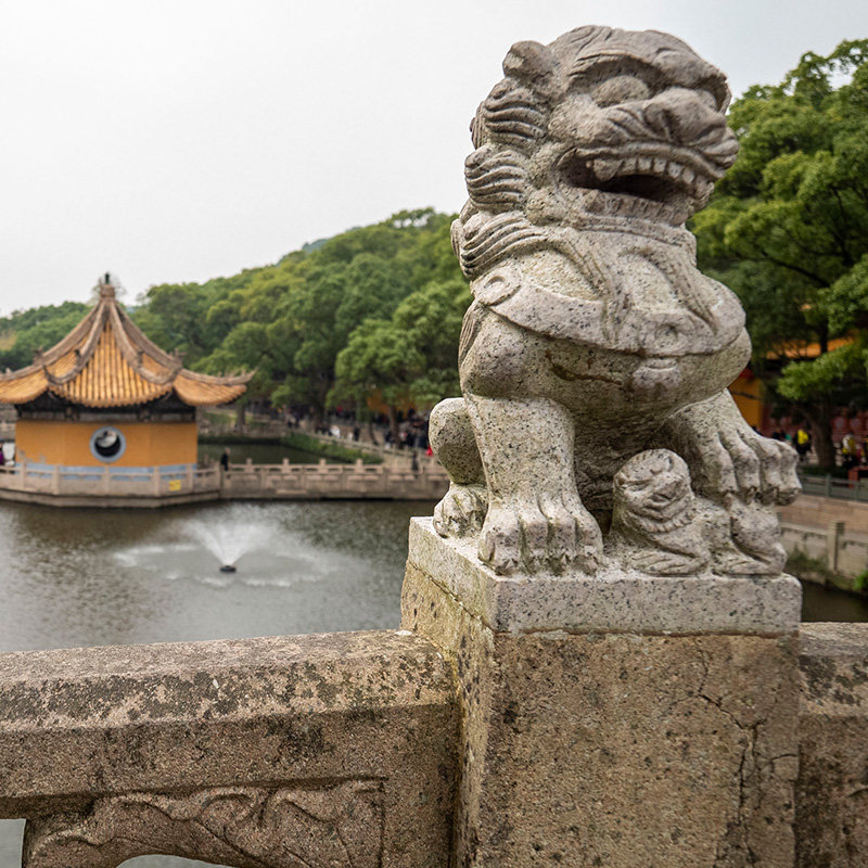 普陀山自由行上海出发至朱家尖往返车票 可选门票 往返船票