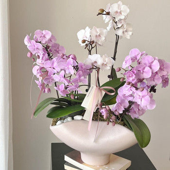 Living room flower arrangement zen ceramic butterfly orchid vase