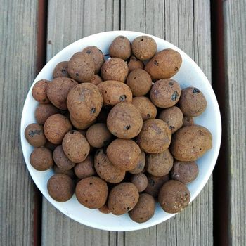 Bottom ceramsite air purifying fertilizer special offer