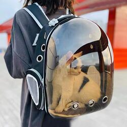 New Outdoor Pet Supplies Portable Space Capsule Pet Cat Backpack Transparent and Breathable Pet Supplies