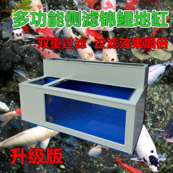 Ultra white glass side filter fish tank ornamental fish tank