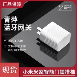 Luke Smart Lock Companion Qingping Bluetooth Gateway V5/s50mpro/sv40/s30 Mijia App Model Universal