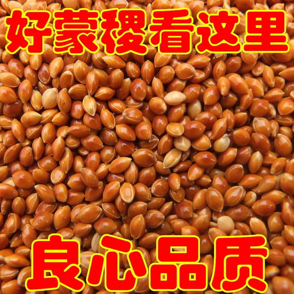 嬰兒枕頭料蒙稷填充物黍子枕頭黍子枕芯紅黍