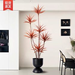 Millennium Tree Artificial Green Plant Light Luxury Living Room Decoration Potted Plant Bionic Fake Flower Dragon Blood Tree Indoor Floor-Standing Ornament