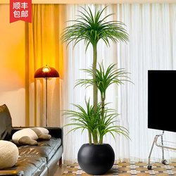 Simulated Green Plant Dracaena for Landscaping, High-End Light Luxury Living Room Interior Decoration, Large Potted Plant with a Sense of Sophistication, Floor-Standing Ornament