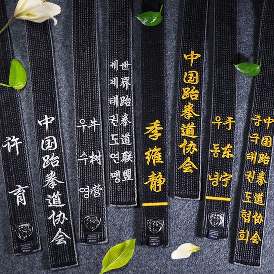 Cintura Nera Ricamata Personalizzata Per Arti Marziali