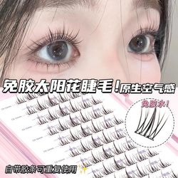 No Stems, No Glue, No Removal Needed, Pure Desire Double-Pointed Sunflower Invisible False Eyelashes, Lightweight Self-Adhesive Segmented Style, Easy for Beginners to Apply