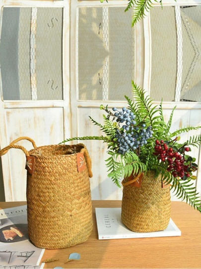 bamboo fortune plant Lucky Bamboo — Green Acres Nursery & Supply