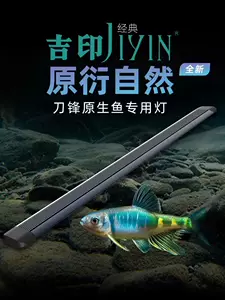 鰭鯛- Top 100件鰭鯛- 2024年4月更新- Taobao