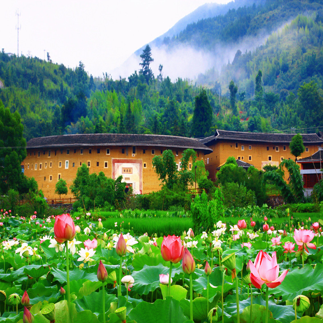 厦门旅游29人头等舱南靖云水谣古镇+永定土楼王一日游纯玩无购物