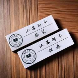 Original Novel Badge Sheng Wangjiang Emblem School Badge School Plaque Merchandise Brooch Medal Pendant Backpack Pin