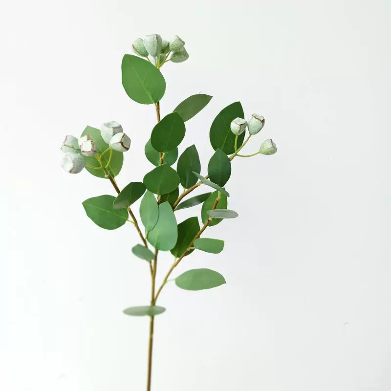 高品质尤加利叶心形桉树叶带果胶片北欧叶材客厅卧室仿真花饰品 Taobao