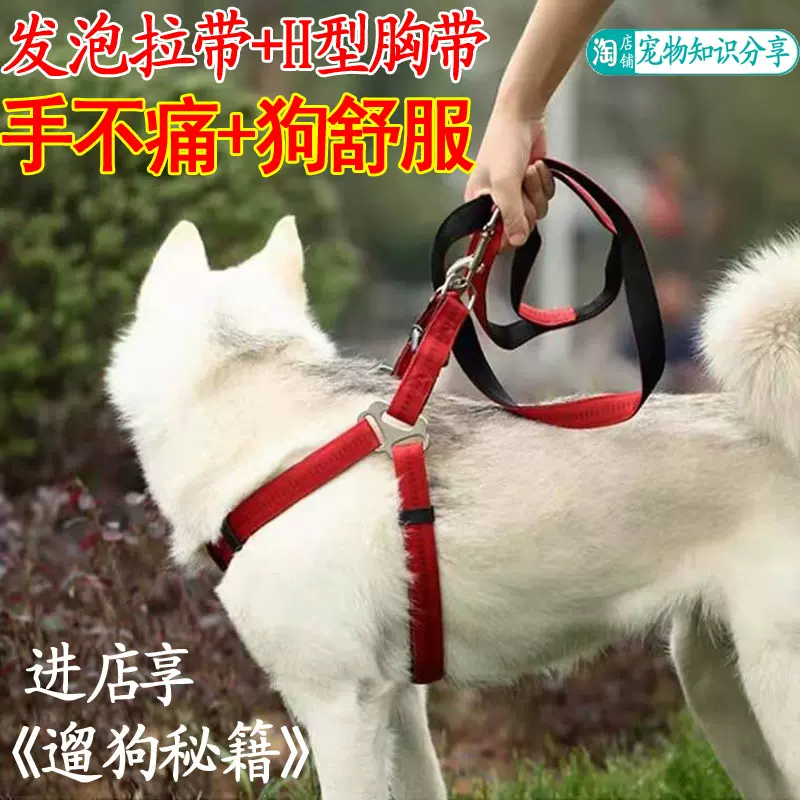 狗狗牵引绳发泡拉带 H型胸背带小型犬大型