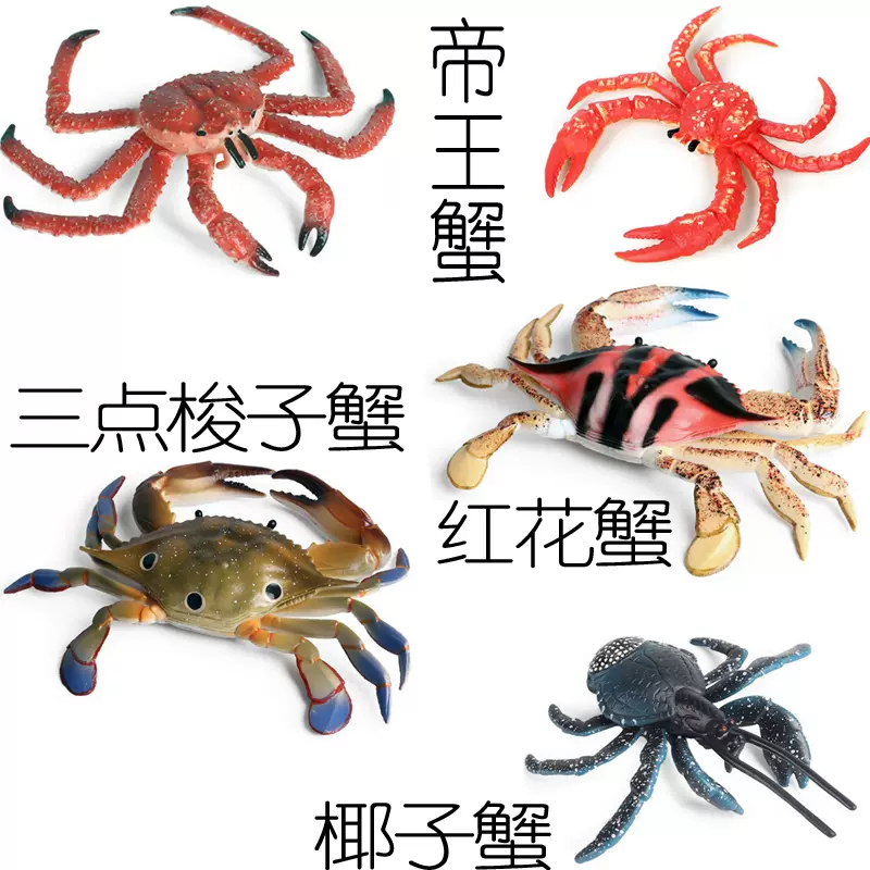 帝王蟹仿真模型椰子蟹红花蟹三点梭子蟹蜘蛛蟹儿童认知摆件玩具 Taobao