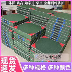 Student Gymnastics Mat, Children's Dance Training Mat, Special Sit-Up Mat for Physical Education Exams, Foldable Practice Yoga Mat