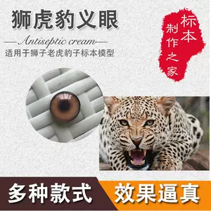 老虎标本- Top 50件老虎标本- 2024年4月更新- Taobao