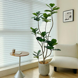Loushujia Artificial Green Plant, Ficus Lyrata, Indoor Living Room Decoration, Fake Tree Bonsai, High-End Light Luxury Artificial Plant Ornament
