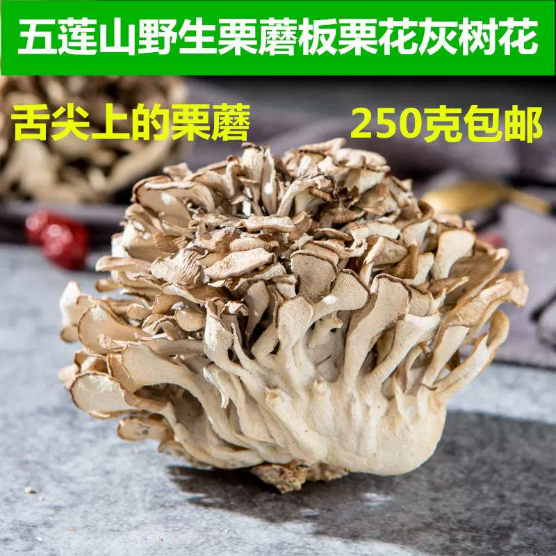 山东五莲特产栗蘑栗花灰树花舞茸菌板栗树下蘑菇菌干货250克包邮-Taobao