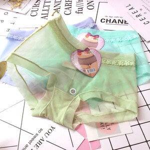 Free shipping Daidi Girl underwear mesh, low waist, soft, breathable, fast -permeable, sexy women's briefs
