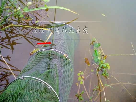 包邮特价4.5米鱼竿碳素超轻超硬 月影钓鱼竿手竿带防电防滑手把